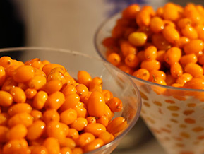 八戒沙棘汁 万元可创业